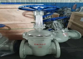 ম্যানুয়াল সিঙ্গেল ওয়েজ স্টেইনলেস স্টিল বাটারফ্লাই ভালভ DN10-DN50