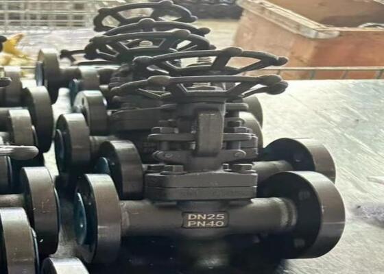 ম্যানুয়াল স্টিল গেট ভালভ বোল্টেড বনেট সহ DN10-DN50 150lb-1500lb উচ্চ ক্ষয় প্রতিরোধ ক্ষমতা