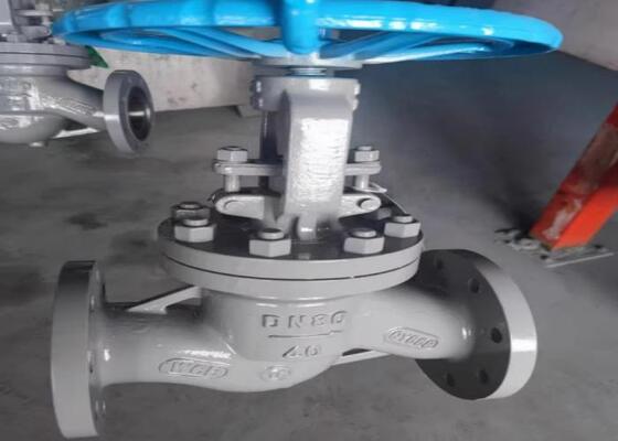 OEM स्टील वाल्व DN10-DN50 ম্যানুয়াল অপারেশন এবং সহজে ইনস্টলেশনের জন্য বোল্টেড বনেট সহ